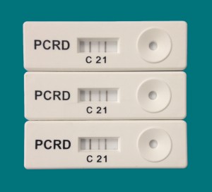 ӢPocket DiagnosticyʽPCRa(chn)ﶨԙzy(h)PCRzy