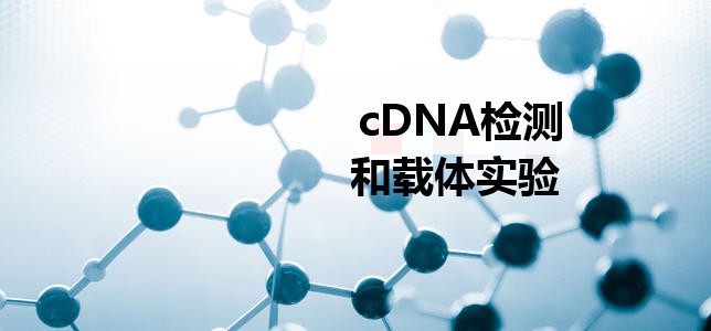 cDNAzydw(sh)